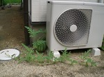 CIMG0825.jpg