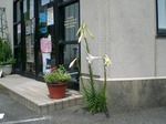 CIMG0828.jpg