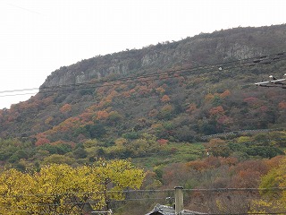 CIMG0947.jpg