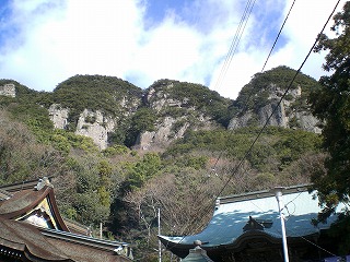 CIMG0957.jpg